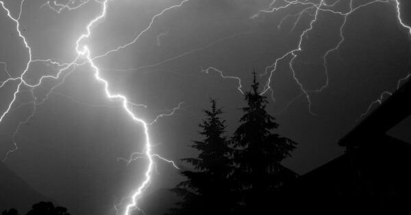 A powerful and dramatic display of lightning during a night thunderstorm over pine trees.