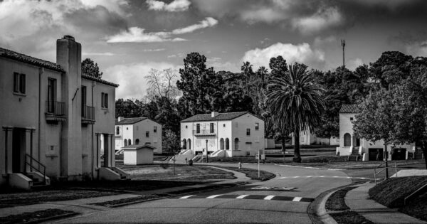 Quiet suburban street with trees and houses in black and white photography.