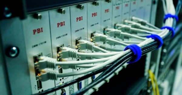 Close-up of ethernet cables connected to a network switch panel in a data center.