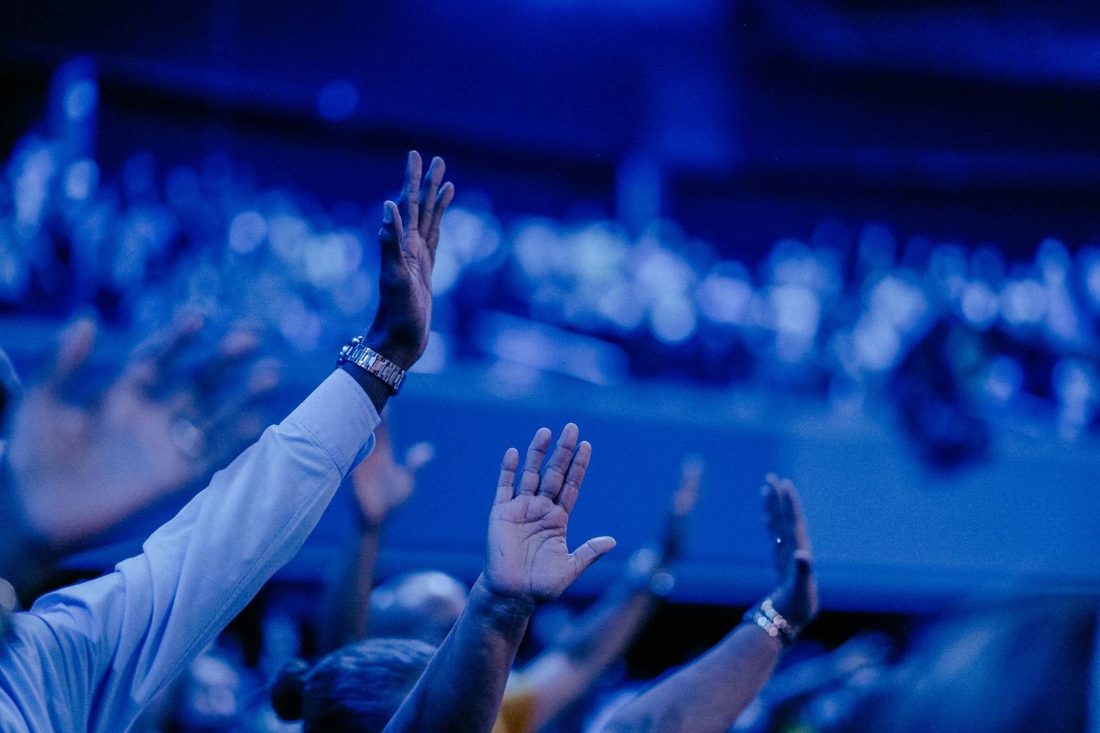 A vibrant concert audience captured with hands raised under dramatic blue lighting.